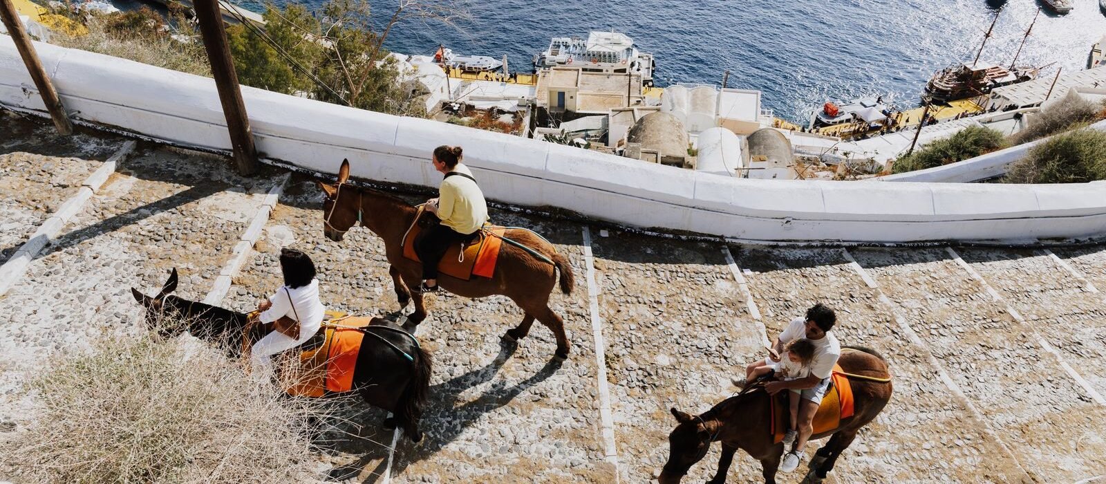 Donkey Rides in Santorini 2026: The Ethical & Animal Welfare Guide