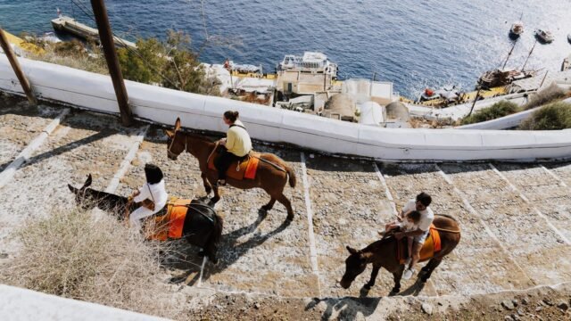 Donkey Rides in Santorini 2026: The Ethical & Animal Welfare Guide