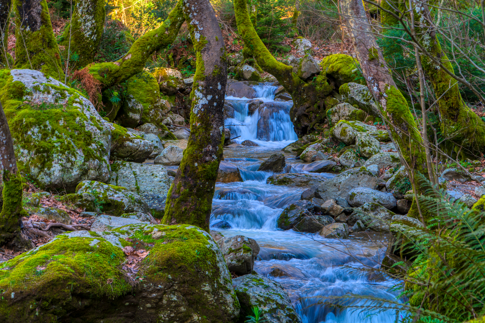 Day Trip from Santorini to Thassos 2026: Worth the Boat Ride?