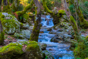 Day Trip from Santorini to Thassos 2026: Worth the Boat Ride?